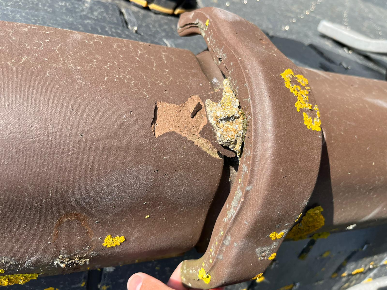 WhatsApp Image 2023-11-04 à 10.56.32_b6ba438a